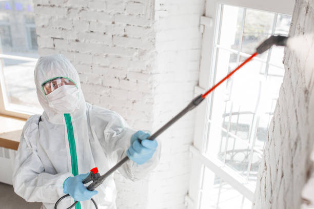 Best Forensic Mold Investigation  in Millport, AL