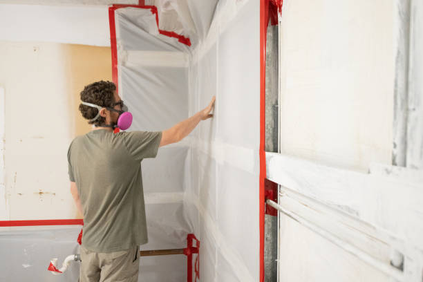Best Environmental Consulting for Mold Prevention  in Millport, AL