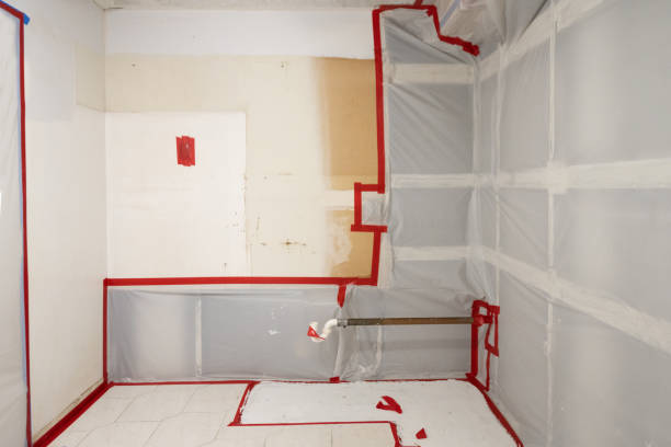 Best Mold Removal for HVAC Installations  in Millport, AL