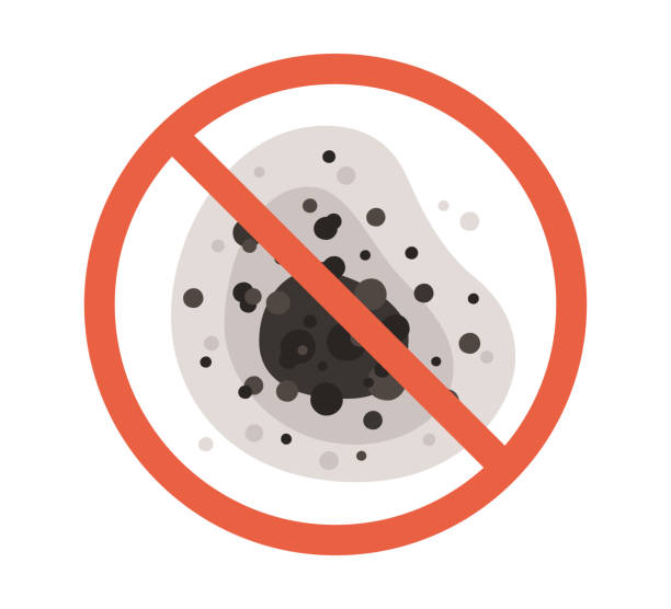 Best Mold Documentation for Insurance Claims  in Millport, AL