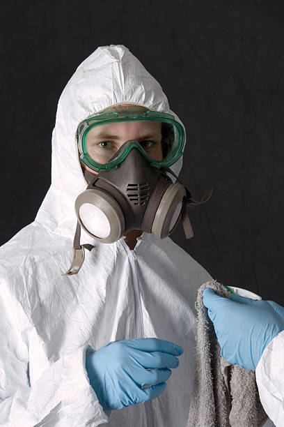 Best Commercial Mold Inspection  in Millport, AL